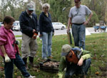 Garden Renovation at Rockefeller State Park Preserve