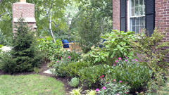 Garden design and planting in Mamaroneck, NY