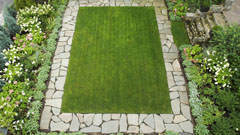Lawn design and installation in Bronxville